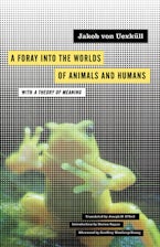 A Foray into the Worlds of Animals and Humans