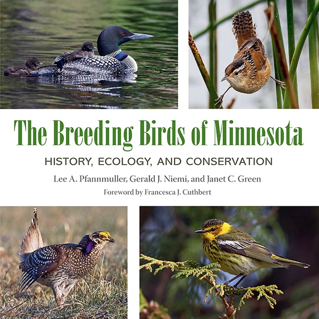 Breeding Birds of MN