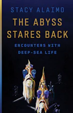 The Abyss Stares Back